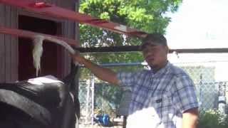 Hemet FFA 2011 2012