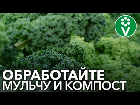 Видео: В чем недостатки контурного земледелия?