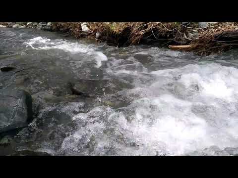 მდ. თეძამის სათავე