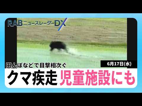 Bear Breaks Into Children's Welfare Facility Grounds; Sighting and