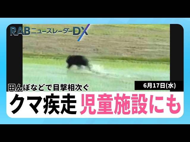つよっクマ Bear Breaks Into Children's Welfare Facility Grounds; Sighting and