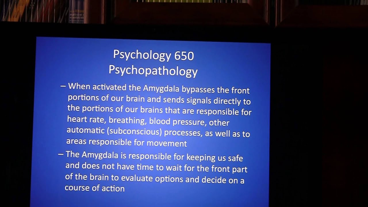 Psych 650 Diathesis Stress Model and Anxiety Panic