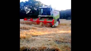 Moisson D'orge 2015