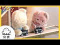 【赤ちゃんが喜ぶ】シナぷしゅ公式がっしゃんまとめ63│テレビ東京x東大赤ちゃんラボ│赤ちゃんが泣き止む・知育の動画
