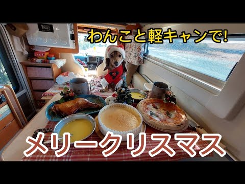 わんこと軽キャンピングカー バロッコ部屋でささやかなクリスマスパーティー【ミニチュアダックスフンド】