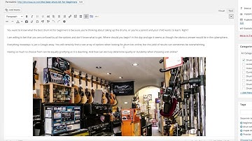 Ebay Partner Network Plugin Basics | Ebay Feeds On Wordpress