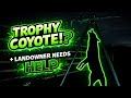 Thermal Hunting Kentucky Coyotes | Local Legend? Trophy Coyote?