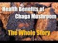 CHAGA MUSHROOM HEALTH BENEFITS - THE WHOLE STORY