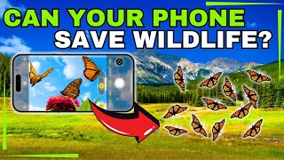 3 Citizen Science Projects That Protect Biodiversity