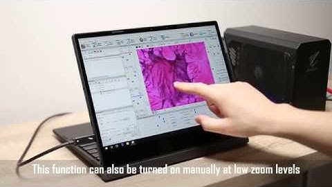FluoRender Review: Visualizing Multichannel Multiresolution Data on Dell Latitude 7285 2-in-1 & eGPU