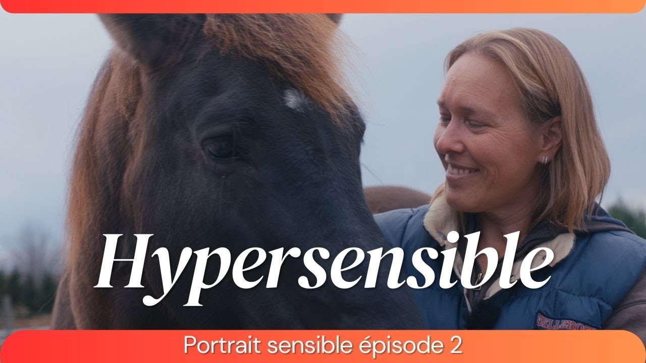 🐴 Portrait : des chevaux et une hypersensible !🐴