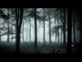 tEho - Back to the Forest (Original Mix)