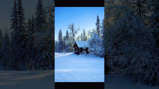 Kolekcjonerka chwil ❄️🤍 #winter #snow #magic #december #shorts #shortvideo #fyp #viral #explore #4k