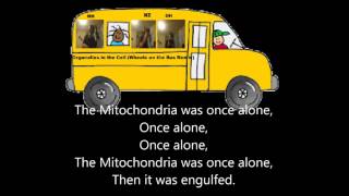 Video thumbnail of "Organelles in the Cell (Wheels on the Bus Remix)"