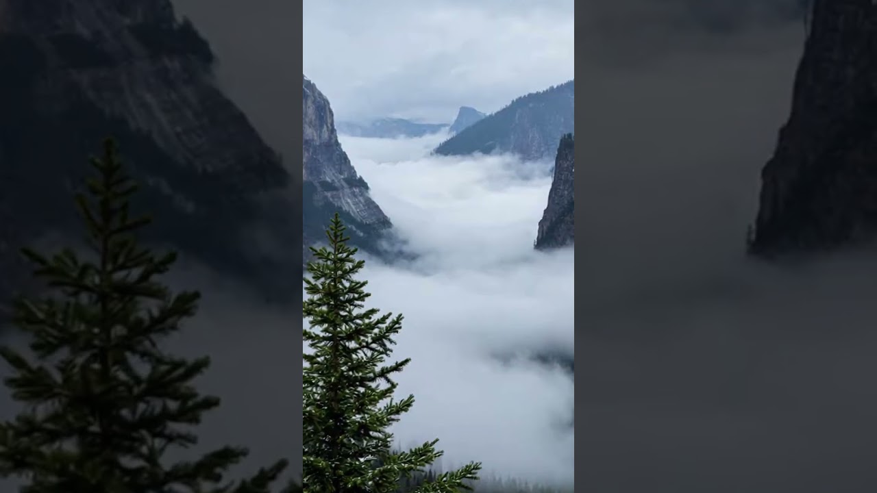 Когда природа становится полем битвы