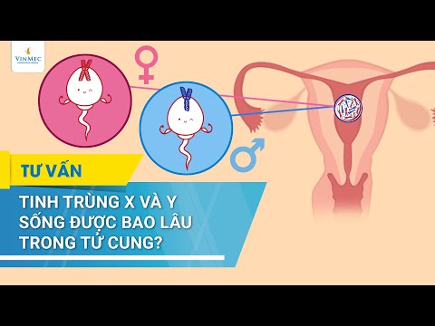 Video: Con voi sống được bao lâu? Hãy cùng tìm hiểu