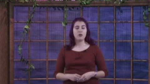 Tech Talk: IBM Lotus Connections