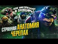 Странная анатомия Черепашек-ниндзя