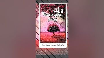 تلاوة رائعة { وربك يخلق ما يشاء ويختار } عمر الدريويز