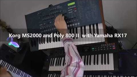 Korg MS2000 and Korg Poly 800 II with Yamaha RX17 Live Demo