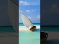 روبى لازقة خفاش روبى لازقة خفاش