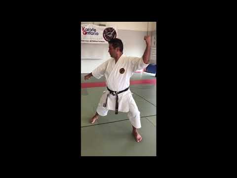 Technical Committee: Shito Ryu Stances