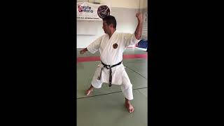 Technical Committee Shito Ryu Stances