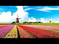 Les 2 Uiterlijk beschrijven
