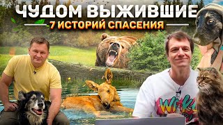 7 историй спасения. Чудом выжившие