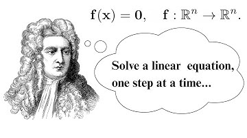 Newton