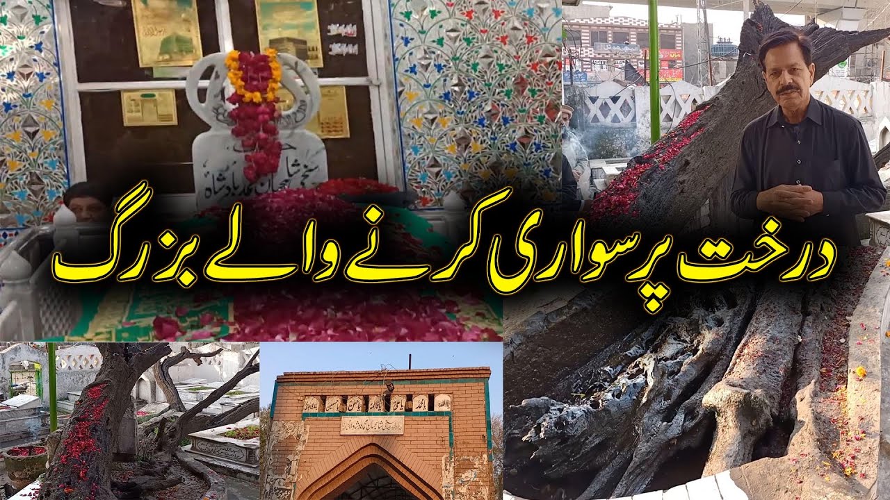 Shah Di Taliyan I Rawalpindi I Incredible Story of Journey on Tree I Gilani Logs