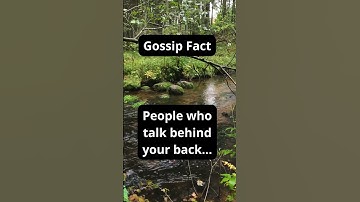 Finding Calm in Chaos #relax #facts #dorama #nature #film