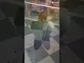 جاني ضيف وجدناه مرمي في الخلاء ناقص ماكلة