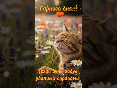 Гарного дня! Сонячного настрою! Побажання вдалого та позитивного дня!