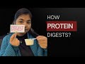 All about Protein in less than 60 seconds