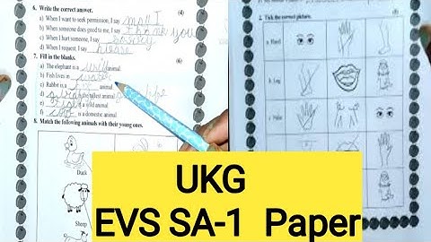 UKG EVS SA-1/ Half Yearly Exam Paper