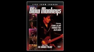 Video thumbnail of "The Blow Monkeys - Animal Magic"