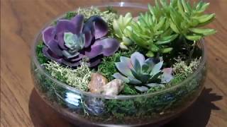 Artificial Succulents Faux Succulents Imitation Succulents DIY Plants for Home Decor DR273 Miniature garden