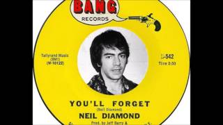 Watch Neil Diamond Youll Forget video