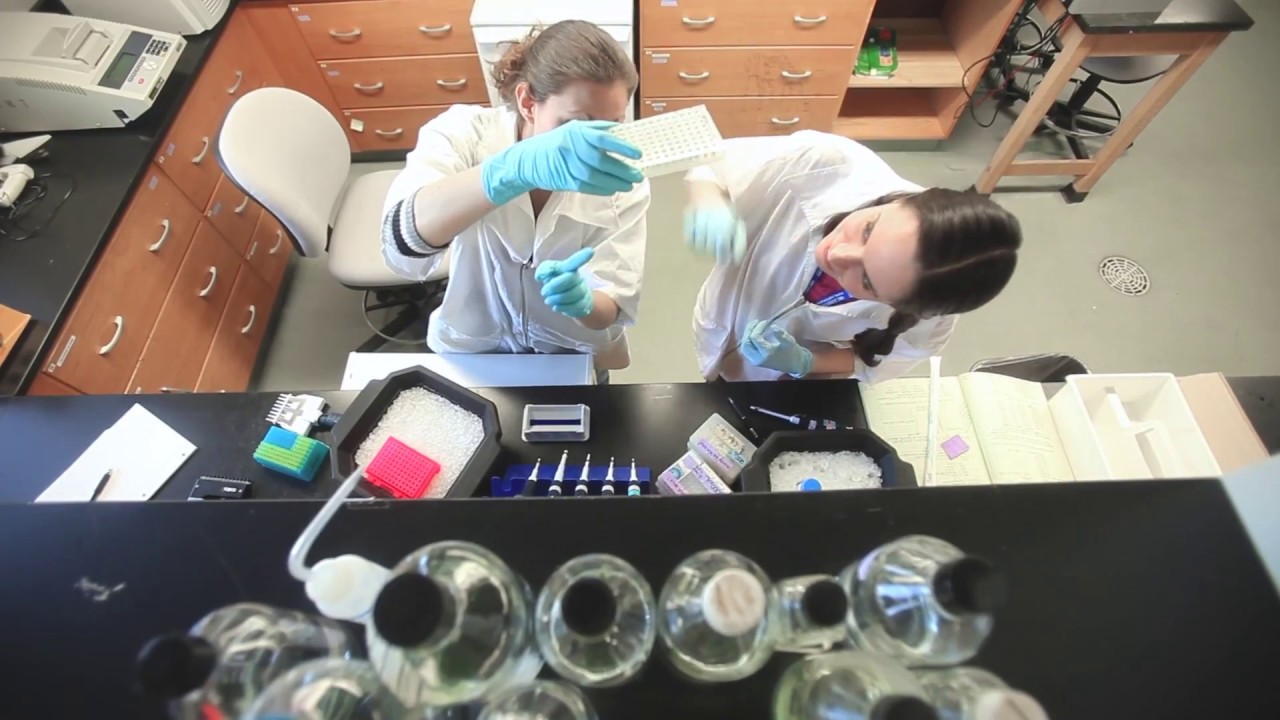 Advancing Research: Combating Cancer with Fish Genetics