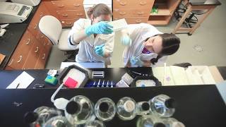 Advancing Research: Combating Cancer with Fish Genetics