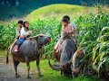 ហាត់ប្រាណ ដើម្បីសុខភាព