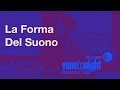 La Forma del Suono, Venetonight 2019