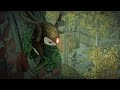 Whats It Like Being Part Tree - Vermintalks