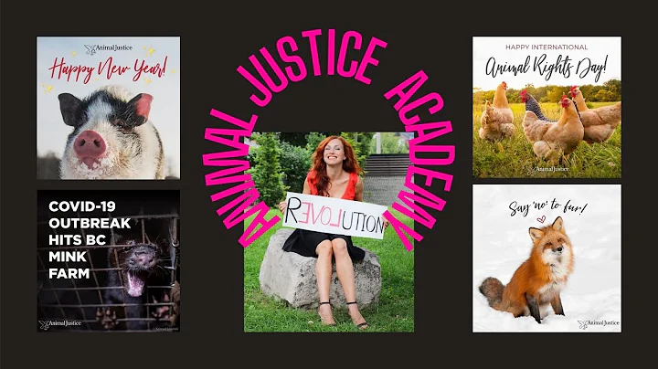 Kimberly Carroll:  Calling All Who Love Animals to...