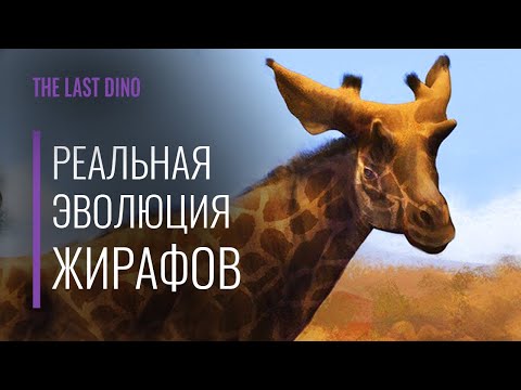 Видео: Реальная Эволюция Жирафовых. От огромных Сиватерий, до Окапи