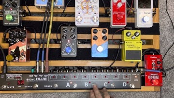 JOYO PXL-Live MIDI with EVH 5150iii 50 Watt Head