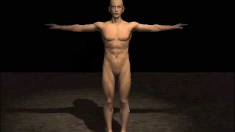 Panda3D with human model