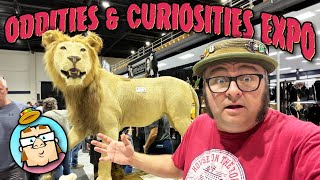 Download Lagu Oddities and Curiosities Expo Tampa 2025 - My First Show in a Year - Florida State Fairgrounds MP3