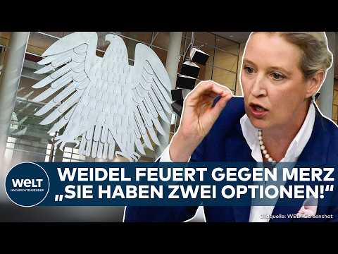 DEUTSCHLAND: Beben im Bundestag! Brisante Aussage von Weidel! AfD macht Merz ein Angebot